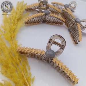 کلیپس مو مجلسی 