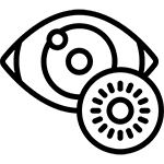 لنز