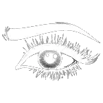 eyes eyebrows makeup