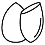 پد آرایشی و بیوتی بلندر