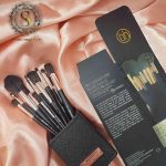 ست براش BH استندی