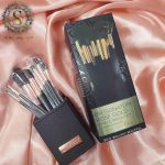 ست براش BH استندی